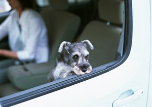 【2025年版】TANAAKKレンタカーの特徴と最新サービス｜いつでもどこでも快適な移動を実現するデジタルレンタルの革新